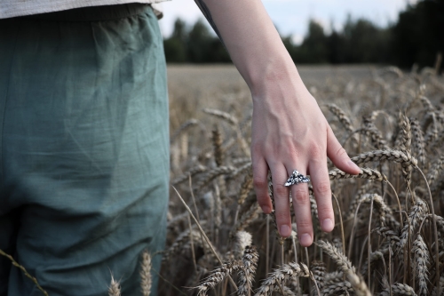IMG_7450.jpg